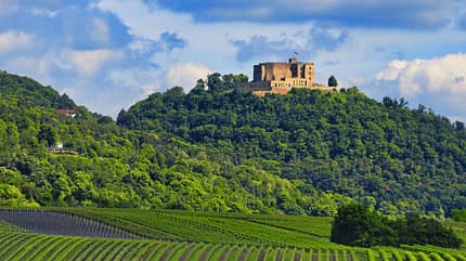 Pfalz Reise f
