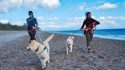 Strand, Frauen, Hunde, Gassi Strand, Frauen, Hunde, Gassi