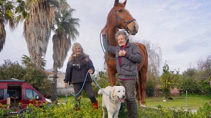 Plamen, Campingbus, Menschen, Pferd, Hund Plamen, Campingbus, Menschen, Pferd, Hund