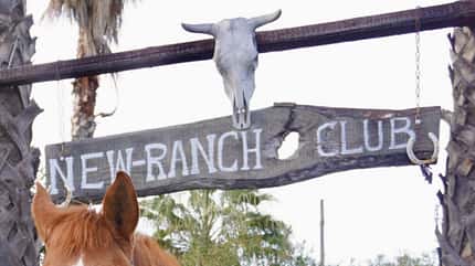 Schild, New Ranch Club Schild, New Ranch Club