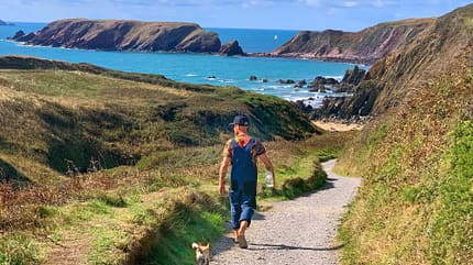 Bucht, Pfad, Gassi, Besitzer, Hund, Wasser, Felsen