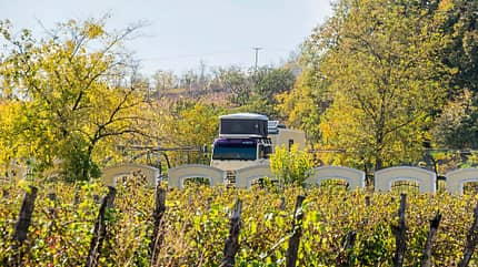 Bäume, Zaun, Campingvan, Herbst Bäume, Zaun, Campingvan, Herbst