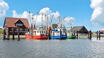 Fedderwardersiel, Ausflugsziel, Hafen, bunte Boote Fedderwardersiel, Ausflugsziel, Hafen, bunte Boote