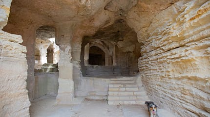Reise Suedfrankreich Reise Suedfrankreich