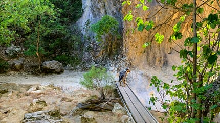 Reise Suedfrankreich Reise Suedfrankreich