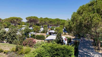 Villaggio Turistico Internazionale Villaggio Turistico Internazionale