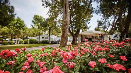 Camping Village Dei Fiori, Italien Camping Village Dei Fiori