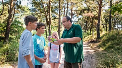 Abenteuerspielplatz zwischen Wald und Strand Abenteuerspielplatz zwischen Wald und Strand