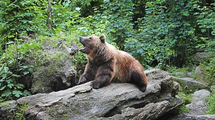 Innsbruck_Hungerburg_Alpenzoo