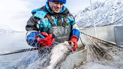 norwegen, lofoten, winter Lofoten - Geir Halvard Nilssen