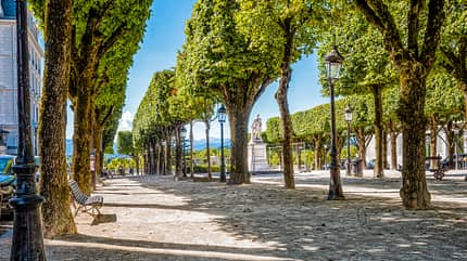 Allee, Denkmal, BŠume, Bank, Himmel