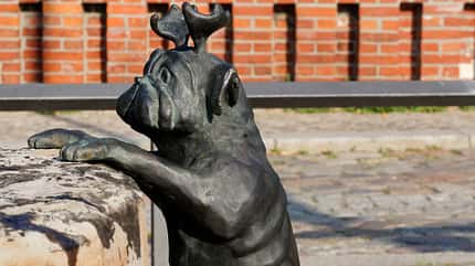 stellplatz, stadtmarina?, brandenburg, havel Stellplatz an der Stadtmarina? - Waldmöpse