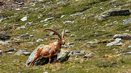 Aostatal, Italien, Reise Italienische Alpen Aostatal