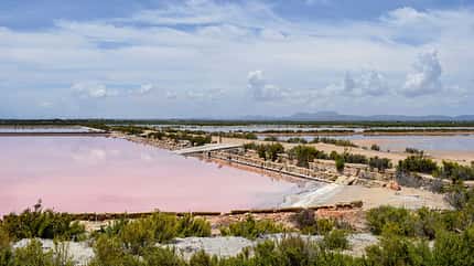 Mallorca, Spanien, Reise Campingbusreise Mallorca f