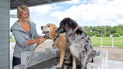 Camping mit Hund, Deutschland Campingplatz Hundehalter f