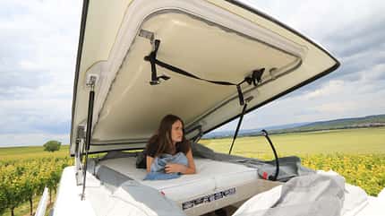 Forster V 599 VB5 Flip (2025) Forster V 599 VB5 Flip (2025)