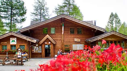 Camping-Tipps Alpen - Camping Village Yolki Palki