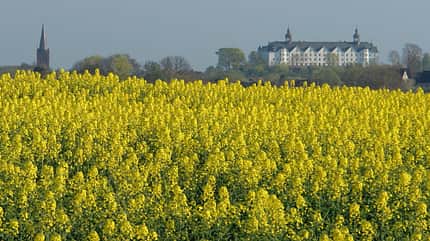 Naturcamping Spitzenort