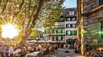 Elsass, Frankreich, Reise Elsass Weinstrasse f