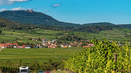 Elsass, Frankreich, Reise Elsass Weinstrasse f