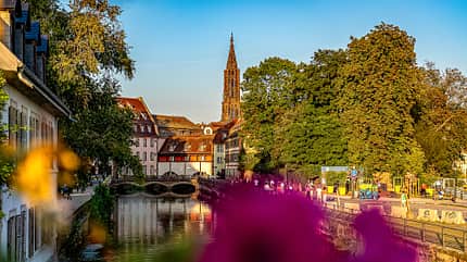 Elsass, Frankreich, Reise Elsass Weinstrasse f