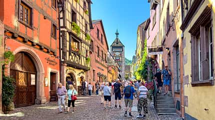 Elsass, Frankreich, Reise Elsass Weinstrasse f