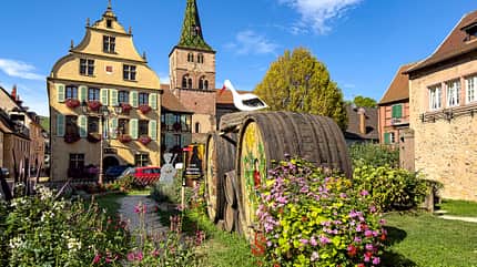 Elsass, Frankreich, Reise Elsass Weinstrasse f