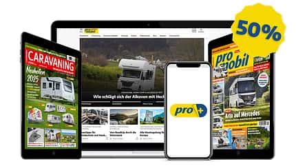 pro+ Sommer-Angebot pro+ Sommer-Angebot
