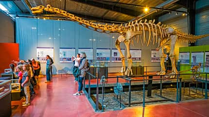 Katharerland, Dinomuseum