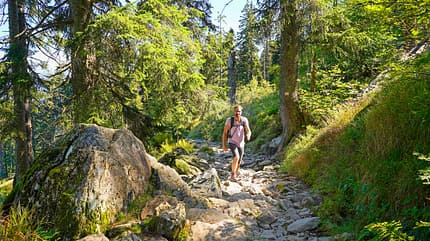 Bayerischer Wald, Deutschland. Reise Camping
Bayerischer Wald f