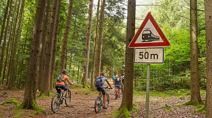 Bayerischer Wald, Deutschland. Reise Camping
Bayerischer Wald f