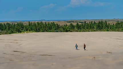 nordjütland, dänemark, mobil-tour Nordjütland - Wüste