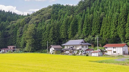 Japan, Reisfelder Japan, Reisfelder