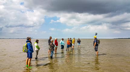 reise, tipp, camping, nordsee, küste Nordseeküste - Wattwanderung