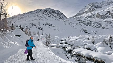 Lazinser Alm, Südtirol