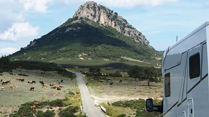 Dauertest, Teilintegrierter, Frankia Neo Dauertest Frankia Neo sardischen Provinz Ogliastra