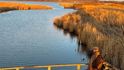 Vogel, Birdwatching, Naturerlebnis Birdwatching Federsee f
