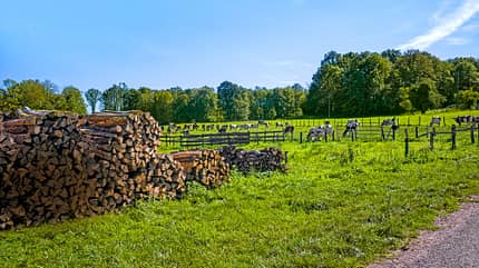 Vogesen, Frankreich Reise Vogesen Landschaft f