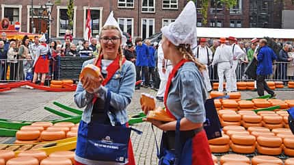 Reise Niedelande Alkmaar f Reise Niedelande Alkmaar f