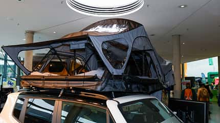 Europine 160, Vickywood