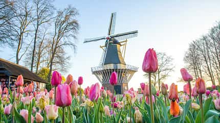 Reis Tipps Maerz Reis Tipps Maerz Tulpen