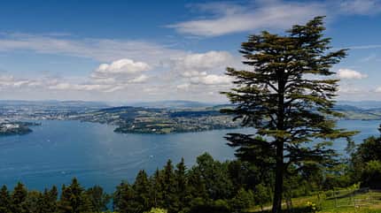 SWITZERLAND-UKRAINE-RUSSIA-CONFLICT-DIPLOMACY-PEACE