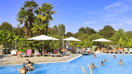 Pool, schwimmende Grupe, Palmen Pool, schwimmende Grupe, Palmen