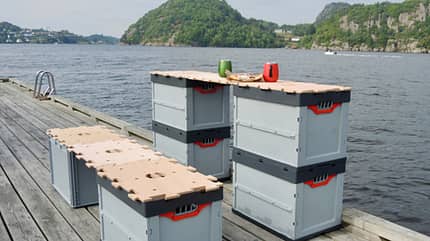Owomo, Küche Puzzle, Euroboxen, Sofa, Transporter Owomo, Puzzle, Sofa, Euroboxen, am See