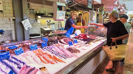 Frankreich, Ile de Re Reise Ile de Re Fisch f