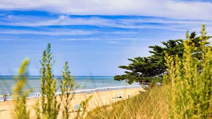 Frankreich, Ile de Re Reise Ile de Re Sandstrand f