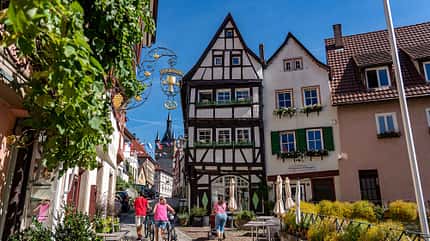 f_Neckar_Bad Wimpfen