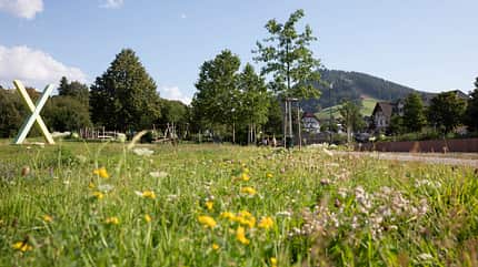 Juni, Touren-Tipps, Camping, Wohnmobil, Landesgartenschau, Baden-Württemberg Landesgartenschau Baden-Württemberg