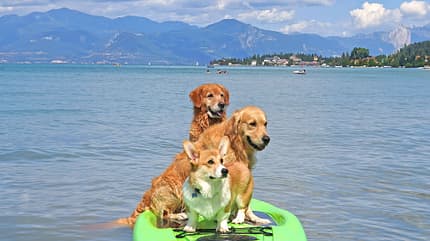 Juni, Touren-Tipps, Camping, Wohnmobil, Camping San Francesco Camping San Francesco