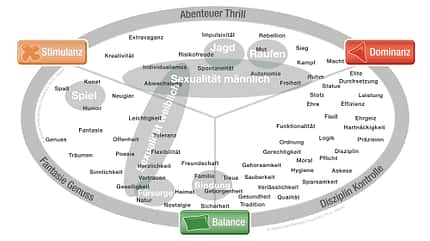 Limbic-Map i_LimbicMap